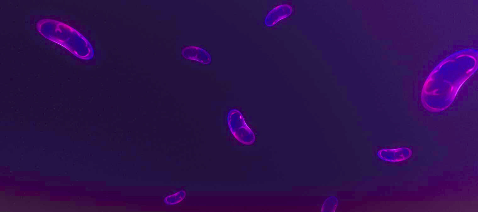 7 Mitochondria Facts You Probably Did Not Know