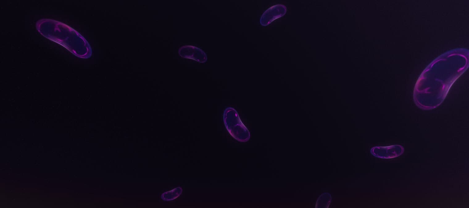 7 Mitochondria Facts You Probably Did Not Know