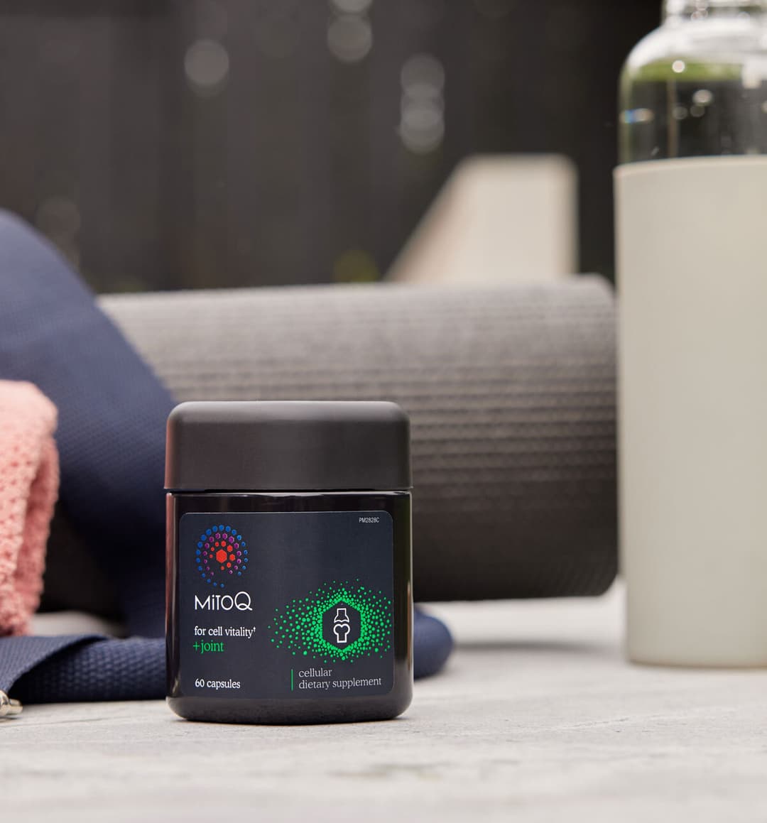 MitoQ +joint