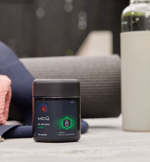 MitoQ +joint