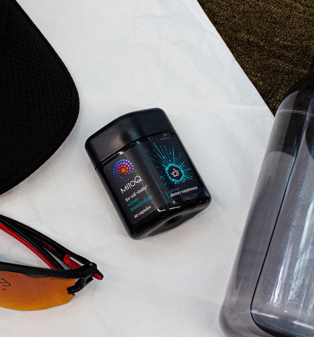 MitoQ +liver metabolism