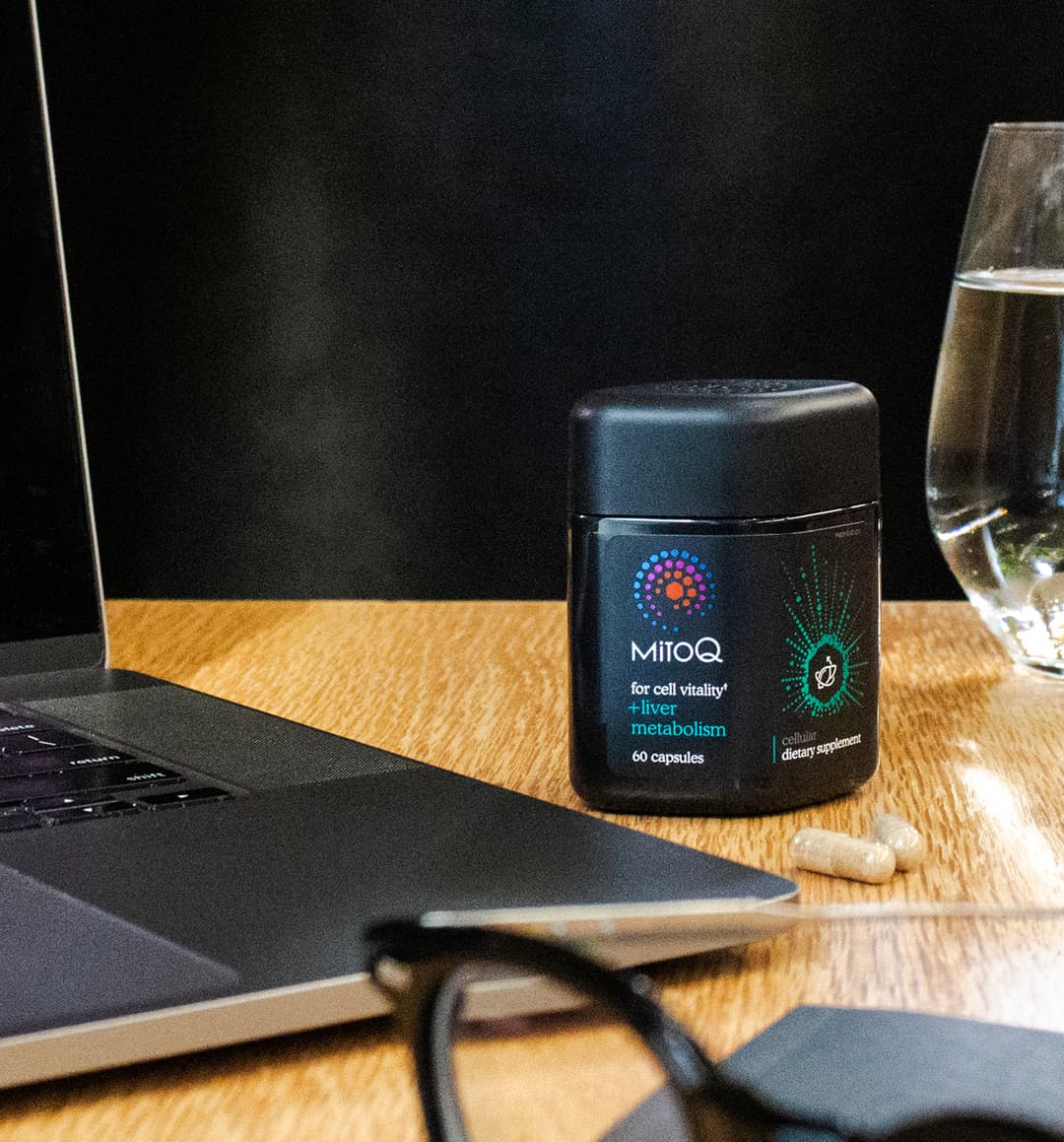 MitoQ +liver metabolism