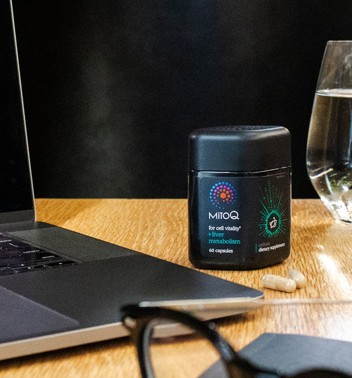 MitoQ +liver metabolism