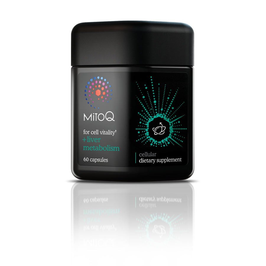 MitoQ +liver metabolism